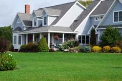 lawn care tips and maintenance